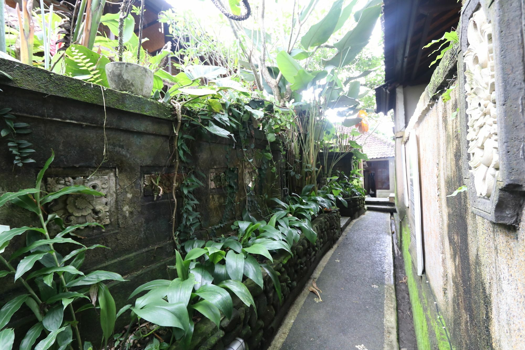 Pondok Permata Homestay Ubud  Exterior photo