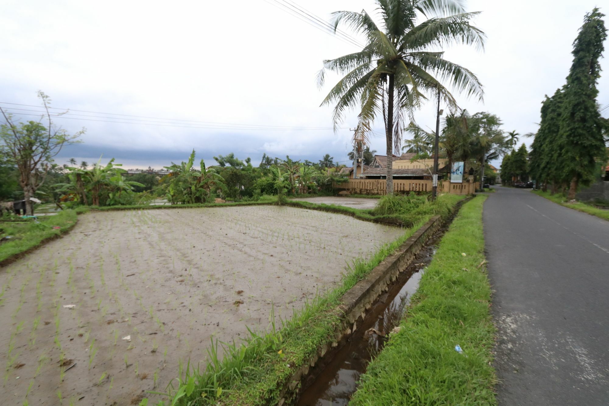 Pondok Permata Homestay Ubud  Exterior photo